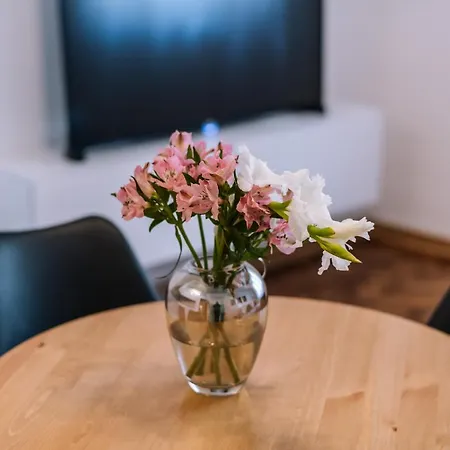 Marshal Doctor Lejlighed